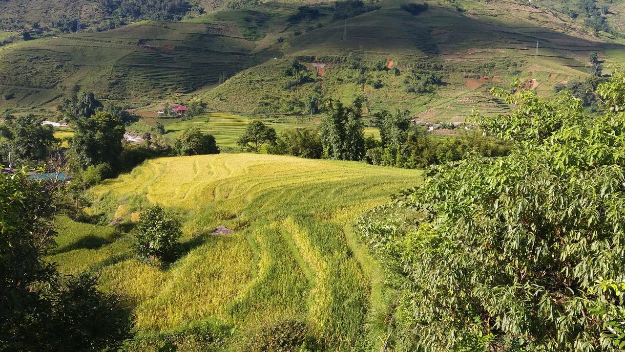 Ta Van Green Hills Homestay Sa Pa Exterior photo